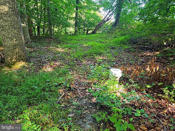5th image of 3500 Hawks Hill Rd Lot 1