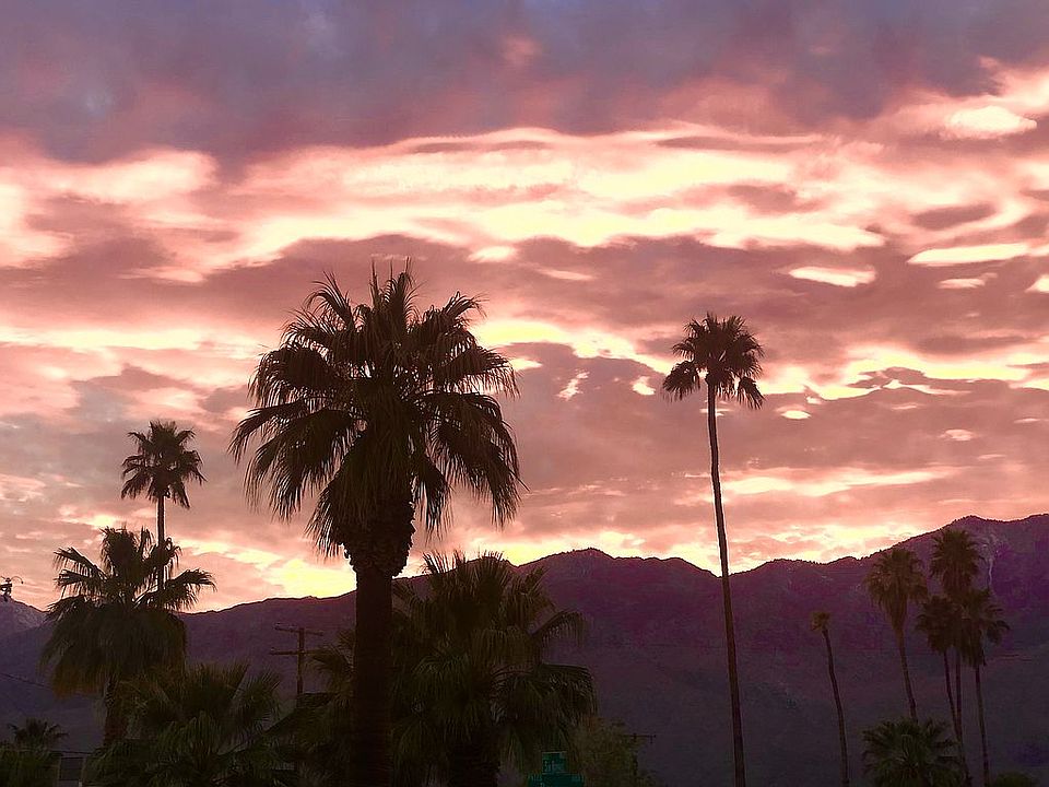 view from the front yard 