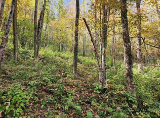 LOT 39 Rocky Rd, Harman, WV 26270