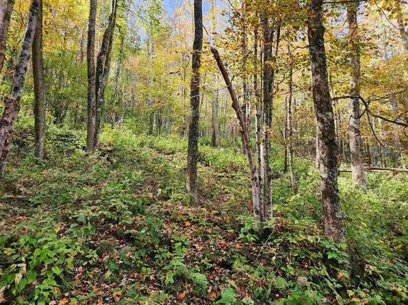 LOT 39 Rocky Rd, Harman, WV 26270