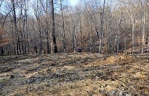 4th image of 7512 S Shady Side Dr