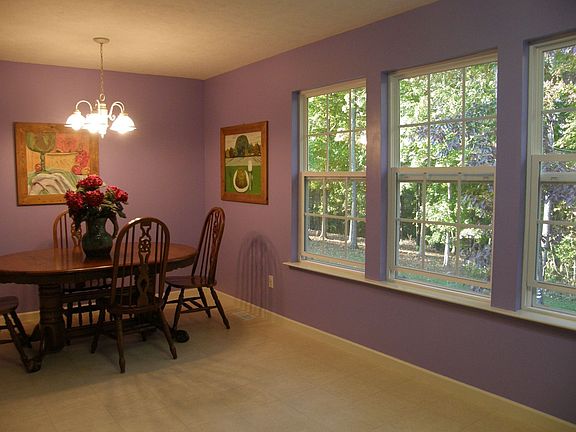 Windows looking over wooded lot