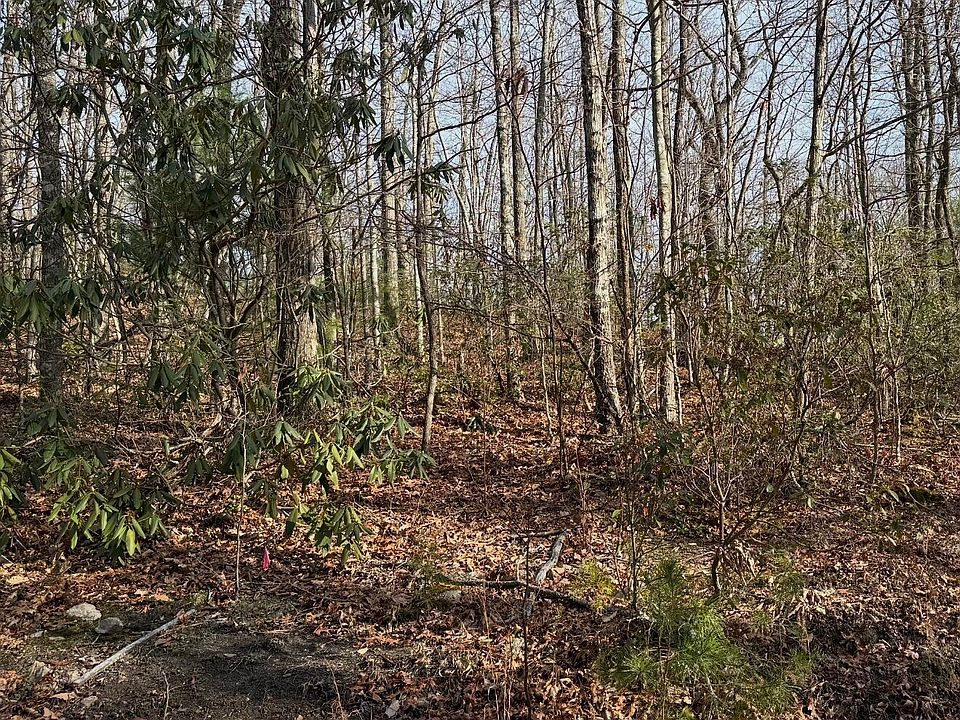 2nd image of 5 & 6 Swann Saddle Rd