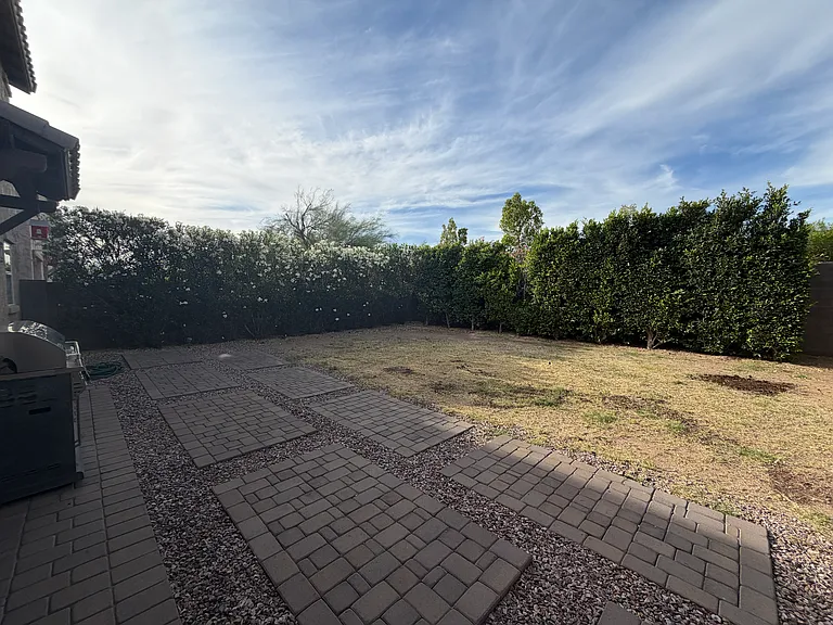 back yard in April 2026