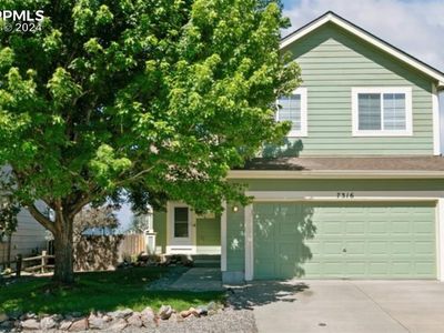 7316 Straggler Cir, Colorado Springs, CO, 80922