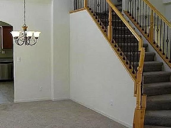 5th image of 17 Petrel Ct