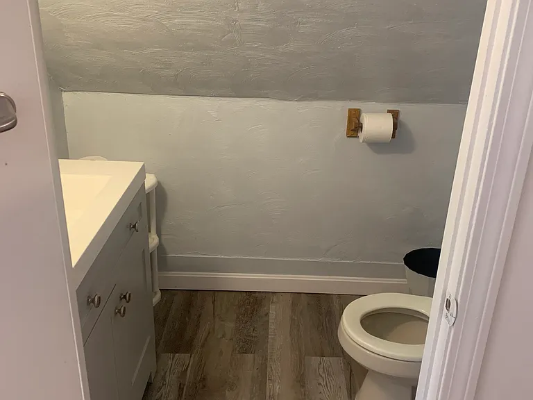 252 Putnam Ave #3 — Photo 9