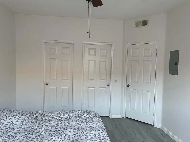 Master bedroom doors - bathroom, walk in closet, hallway (left to right)