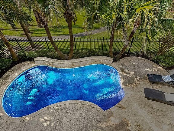 2nd image of 29 Cycas