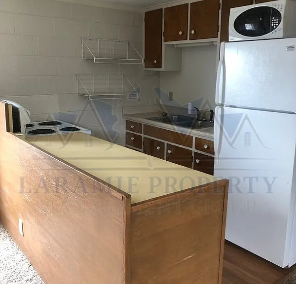 529 Spring Creek Dr #4 — Photo 5