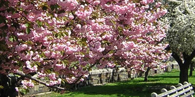 Rented by City-Spaces  | media 1