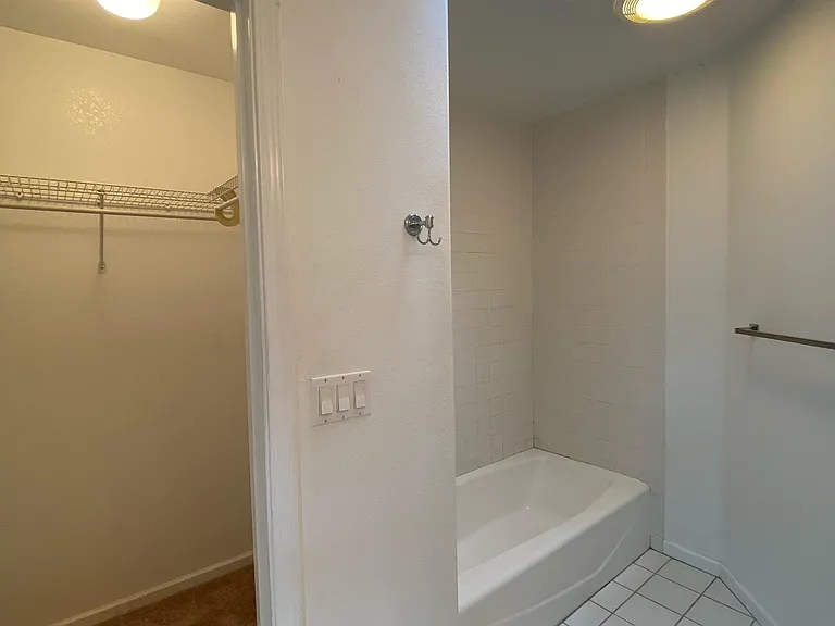 Master walk-in closet and skylight in the bathroom.