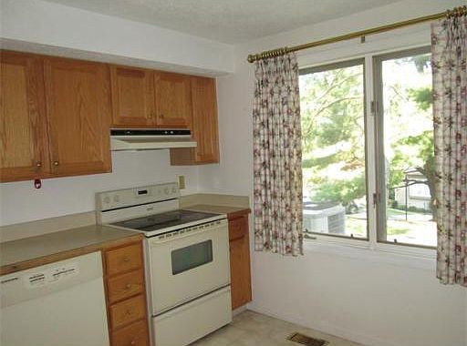 5th image of 401 Lewis O Gray Dr