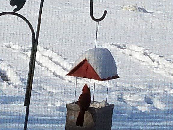 Front yard with snow