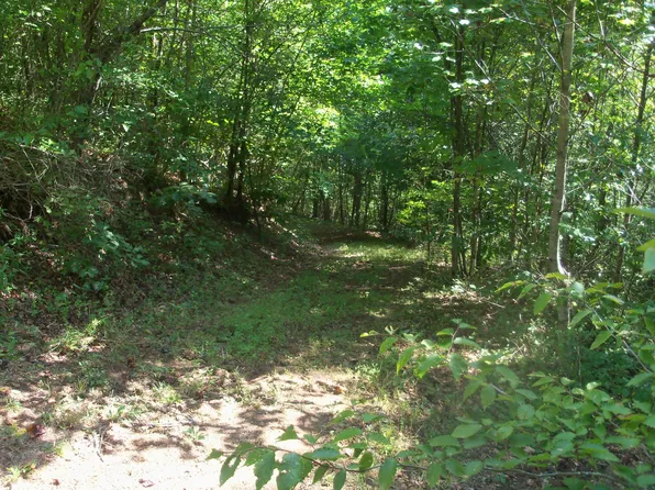 0 Pavaletta Ave, Hiltons, VA 24258