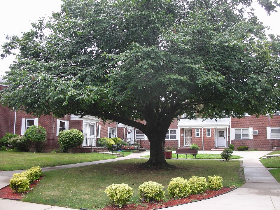 1st image of 247-61 77th Crescent # Fl 2nd