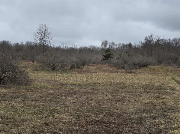 E Gates Rd, Riverdale, MI 48877