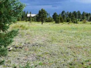 2273 Meadow Trl, Overgaard, AZ 85933