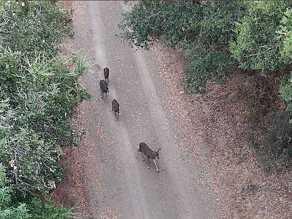 3rd image of 12760 El Camino Real