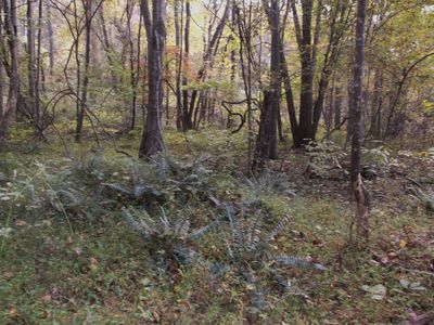 Tract B Holly Berry Ln, Tobaccoville, NC, 27050