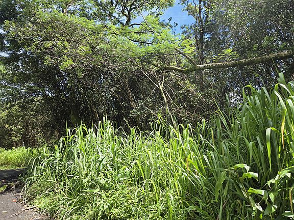3rd image of Road 3 Hopue Lot 3230