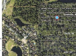 LOT 41 Chase Ct LOT 41, Mount Dora, FL 32757