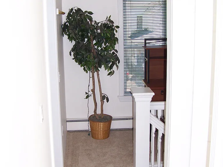 470 South Ave #B — Photo 20