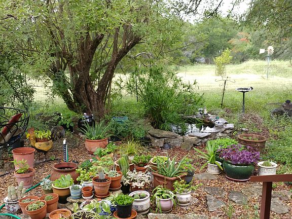 Garden w/Pond