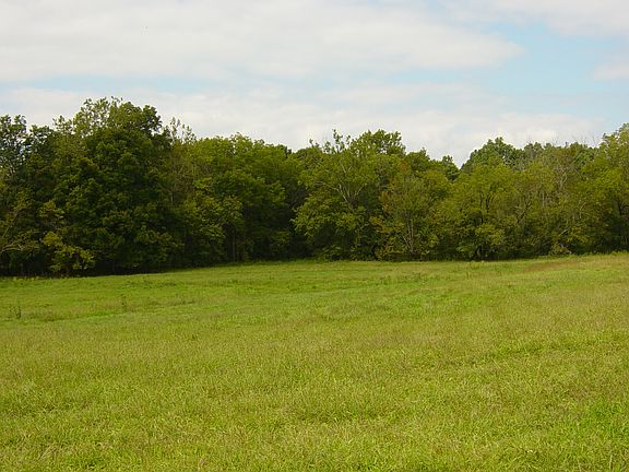 Back pasture in spring