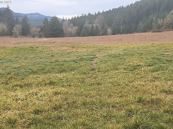 2nd image of 39935 Layng Creek Rd