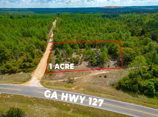 0 Liberty Rd, Mauk, GA 31058