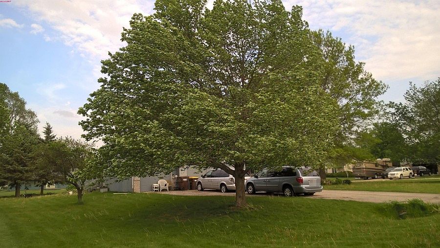 2nd image of 9585 Ruth Ct