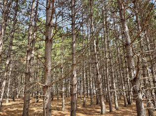 Emerald Ct NE, Carlos, MN 56319