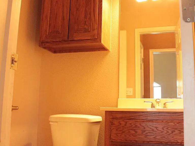 Downstairs Hall Bath