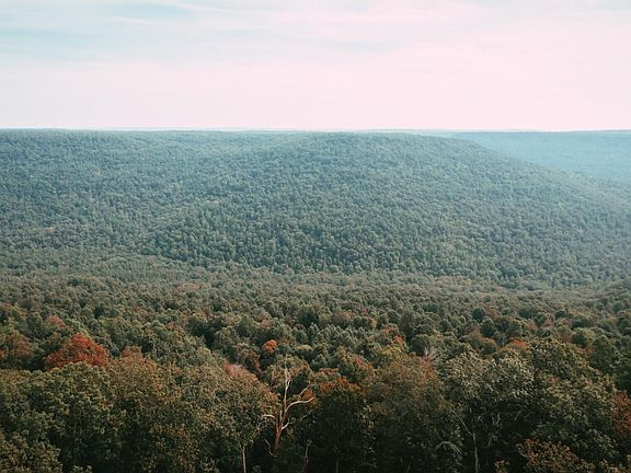 39th image of this home