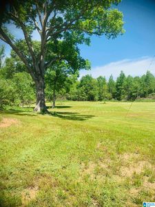 3475 County Road 29 #0, Heflin, AL, 36264