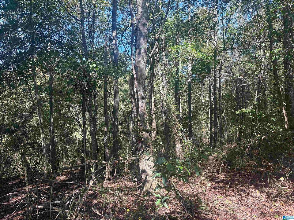 1st image of 15/ACRE S County Road 619 #1