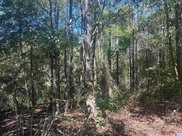 15/ACRE S County Road 619 #1, Ranburne, AL 36273