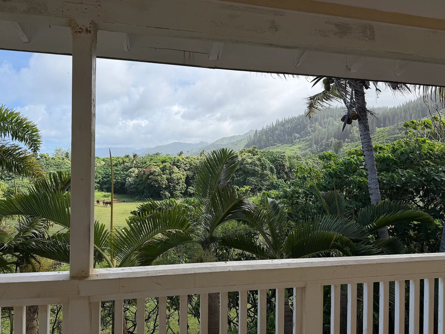 3 bed, 2980 sqft, $3,400 — Photo 2