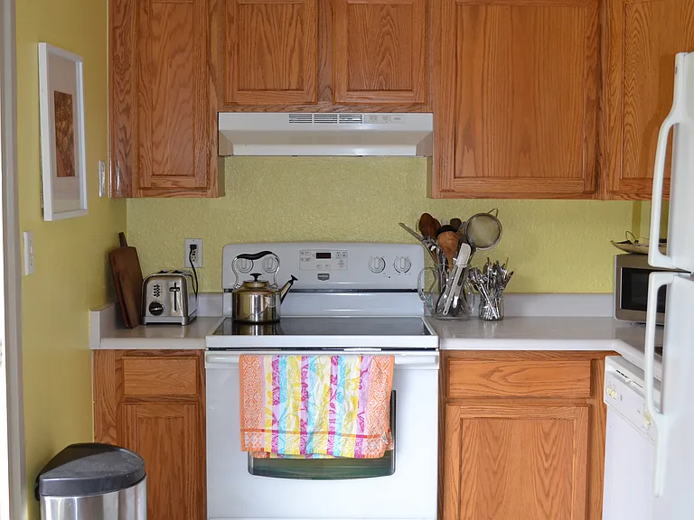 kitchen with dishwasher and electric cooktop