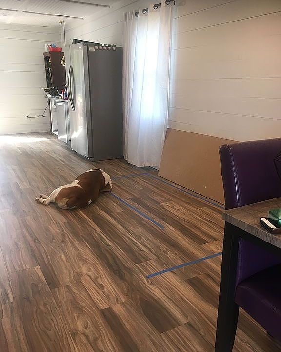2nd image of 2827 5th Ave