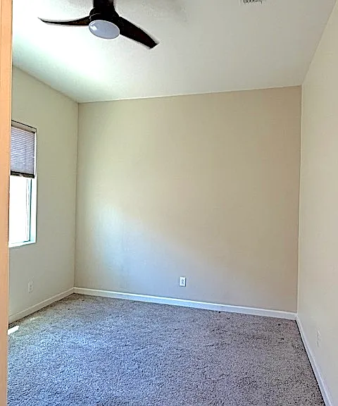 1142 E Bajor St — Photo 31
