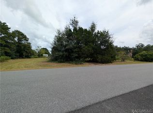 10133 S Appaloosa Ave, Floral City, FL 34436