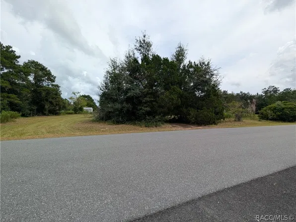 10133 S Appaloosa Ave, Floral City, FL 34436