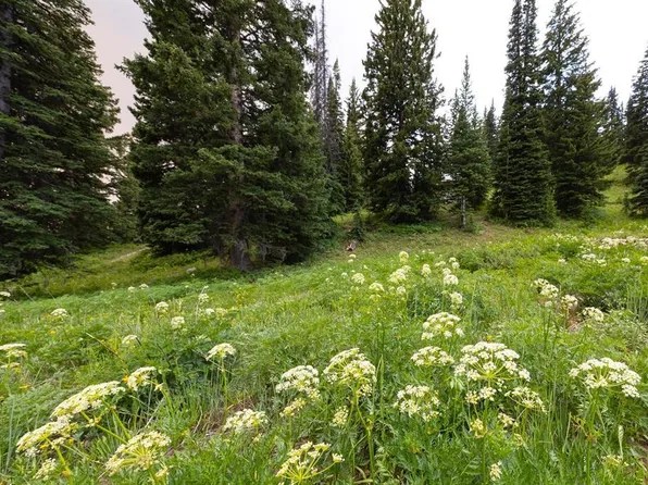 290 7th Street, Crested Butte, CO 81224