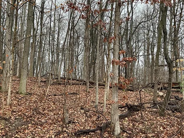 0 Headleys Mill Rd SW, Pataskala, OH 43062