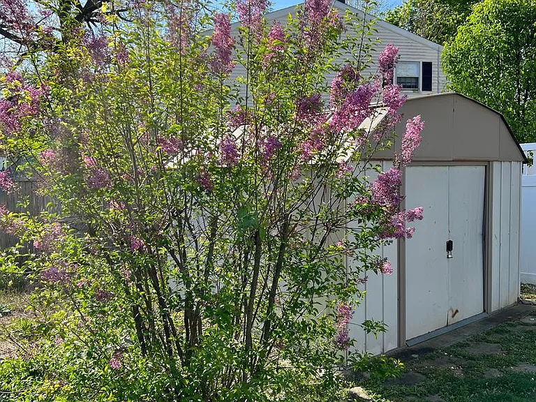 427 W Marion St — Photo 23