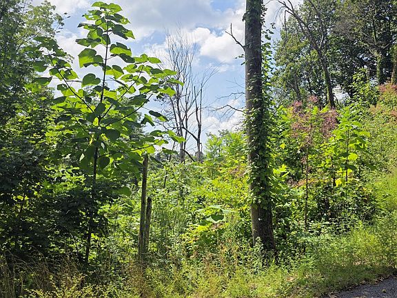2nd image of LOT 14 Sugar Maple Loop Rd
