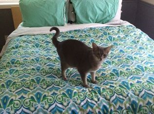 1349 Maple Dr, Logan, UT 84321