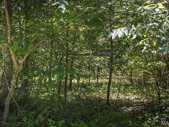 3rd image of 2543 Alpine Woods Dr